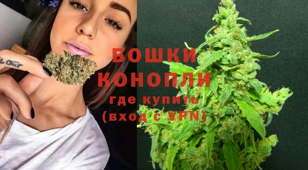 шишки Алексеевка