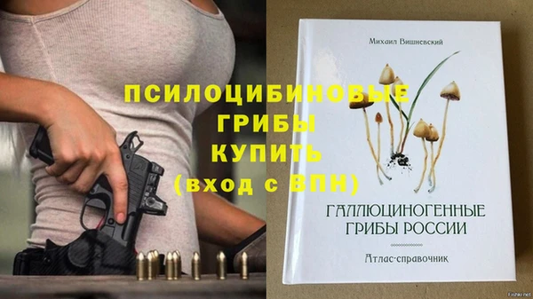 круглые Алзамай