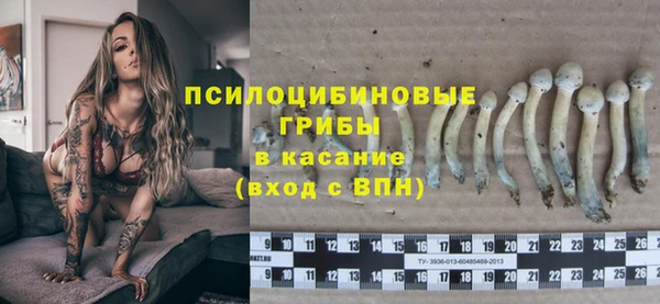 круглые Алзамай