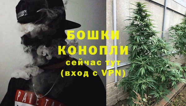 шишки Алексеевка