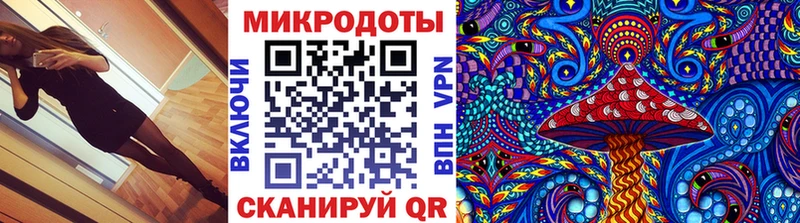 цена   Сосновка  Псилоцибиновые грибы MAGIC MUSHROOMS 