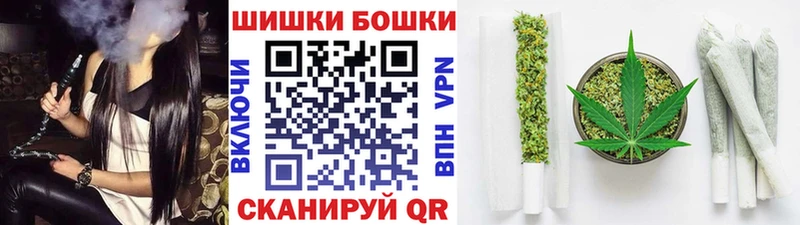 Каннабис индика Сосновка